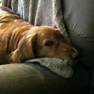 Meet your Posher, Alicia